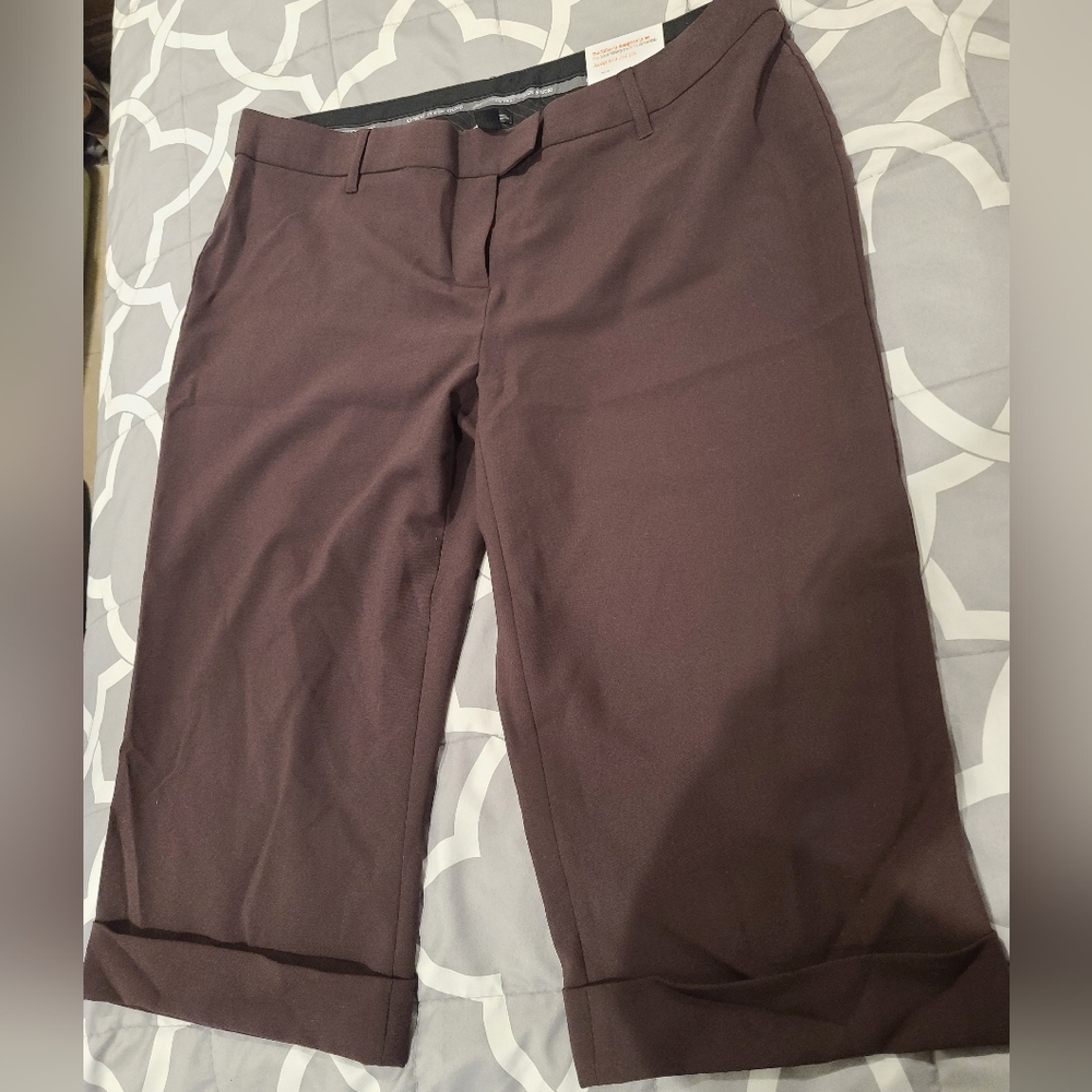 Brown Editor Pants